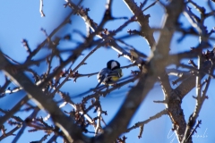 20220115-IMGP0488