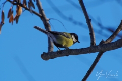 20220115-IMGP0489