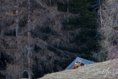 20220130-IMGP0569
