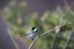 20220212-IMGP0744
