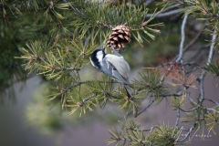 20220212-IMGP0752