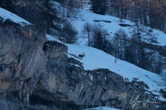 20220213-IMGP0808