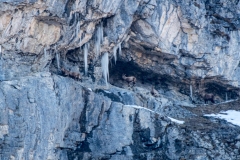 20220213-IMGP0852