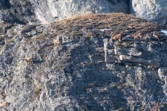 20220213-IMGP0930-2