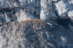 20220213-IMGP0930