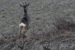 20220213-IMGP0987