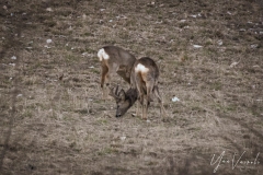 20220213-IMGP1006