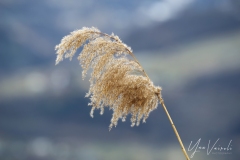 20220206-IMGP0622