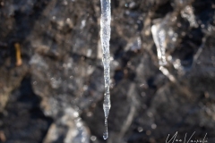 20220212-IMGP0719