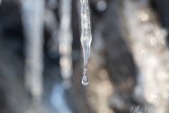20220212-IMGP0735