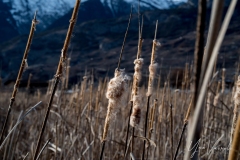 20220219-IMGP1081