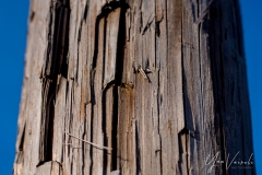 20220219-IMGP1098