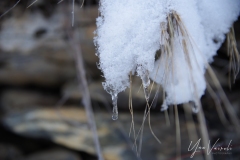 20220108-IMGP0447-3