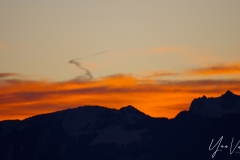 20220129-IMGP0531