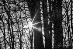 20220219-IMGP1090