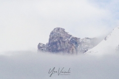 Sanetch dans le brouillard